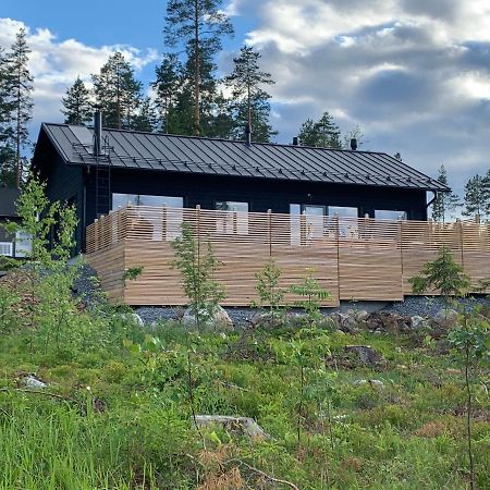 Villa Hirvas Sappee Pälkäne Dış mekan fotoğraf